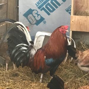 Meet your Posher, Matt